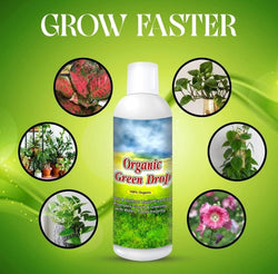 Plant Protection Spray